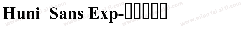 Huni  Sans Exp字体转换